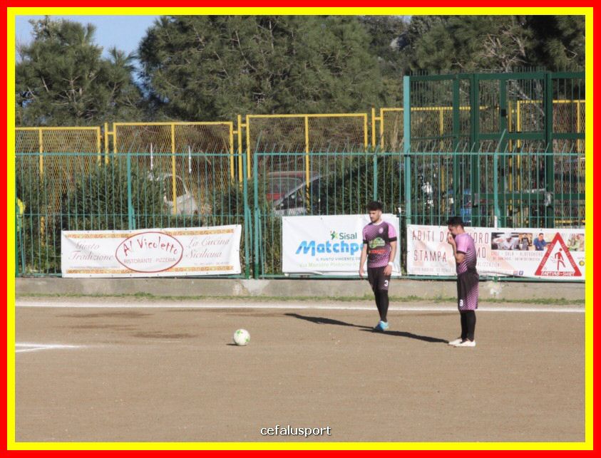 190310 Cephal_Torrenov 147_tn.jpg